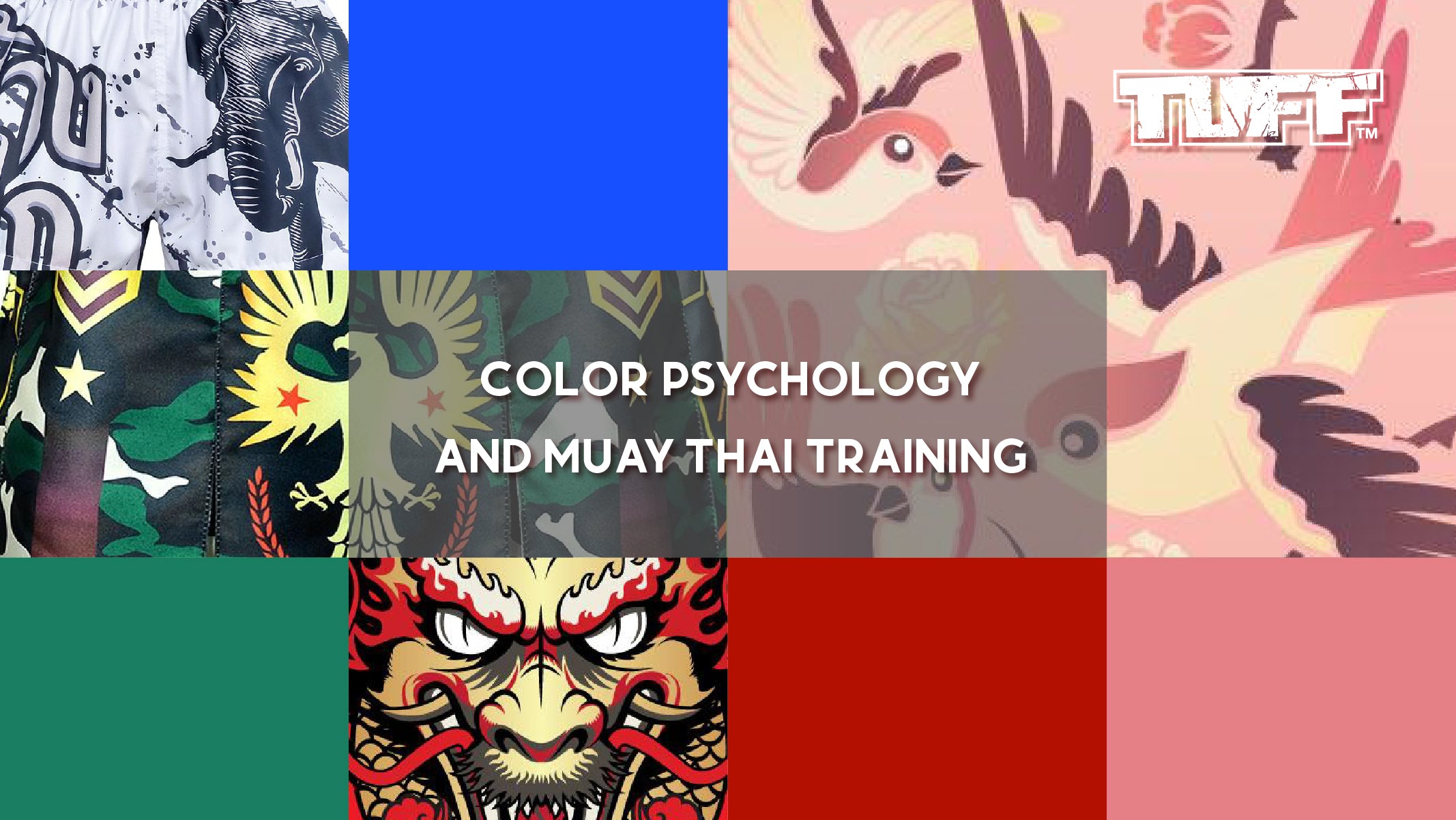 Color Psychology and Muay Thai Training