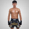 TUFF Muay Thai Boxing Shorts New Retro Style "Black Twin Tiger With Gold Text"