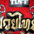 TUFF Muay Thai Boxing Shorts Retro Style Red Twin Tiger With Gold Text