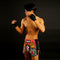 TUFF Muay Thai Boxing Shorts New Retro Style Red Chinese Dragon and Tiger