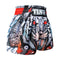 TUFF Muay Thai Boxing Shorts "Grey Roaring Tiger"