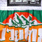 TUFF Muay Thai Boxing Shorts "Green Mountain Bear"