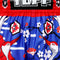 TUFF Muay Thai Boxing Shorts "Blue Japanese Drawing Crane Birds"